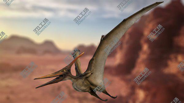 images/goods_img/20210312/3D Pteranodon Longiceps Rigged/2.jpg